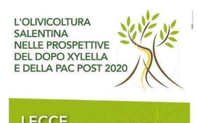 L’olivicultura salentina nelle prospettive del dopo xylella e della PAC post 2020