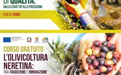 Corsi gratuiti sull’olivicoltura